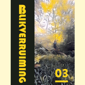 Blikverruiming 03 (ONLINE VERSIE)